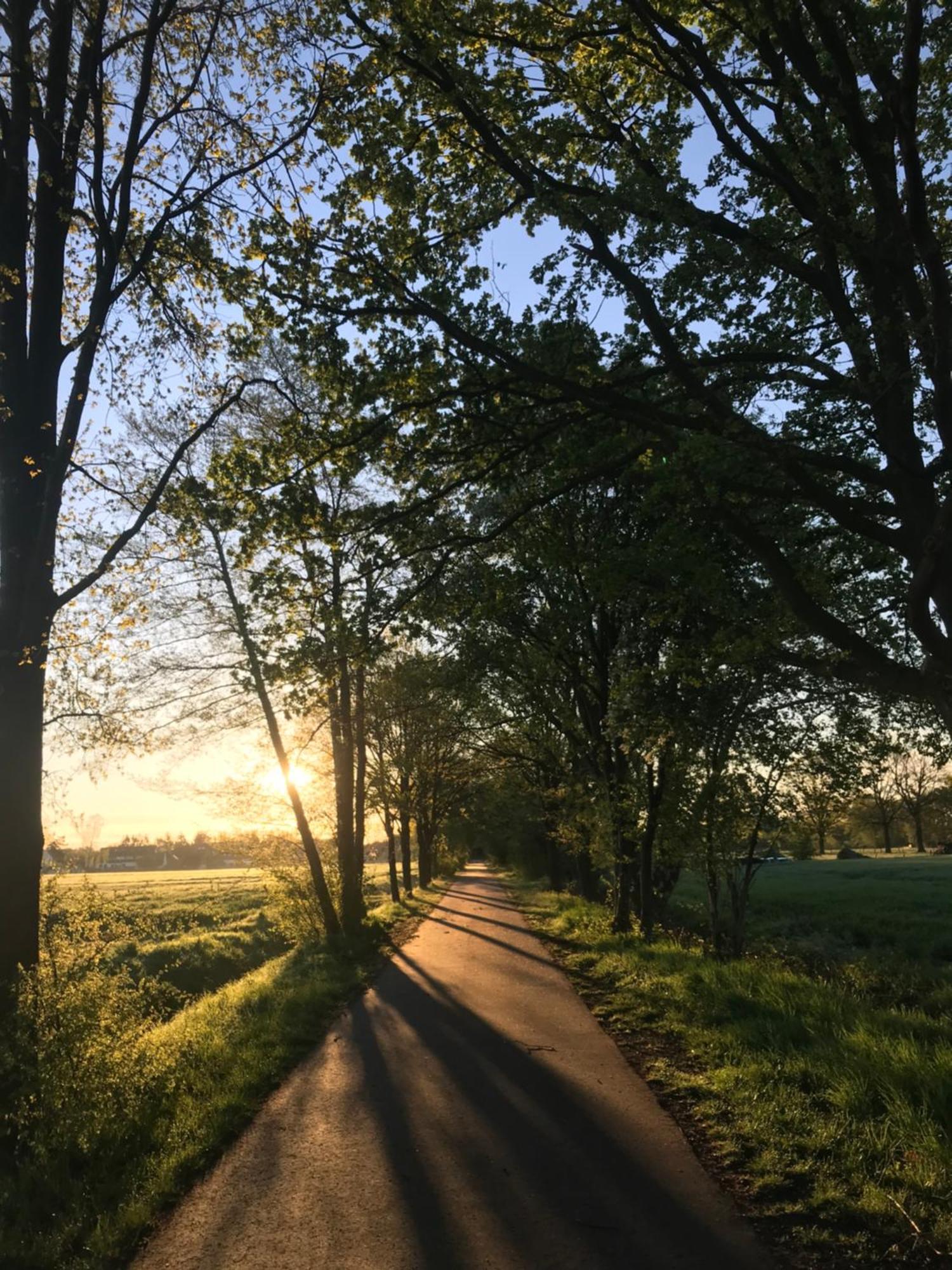 Beethoven * Runkel